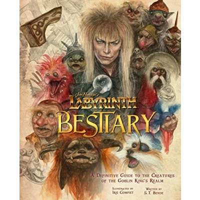 Afbeelding van Labyrinth