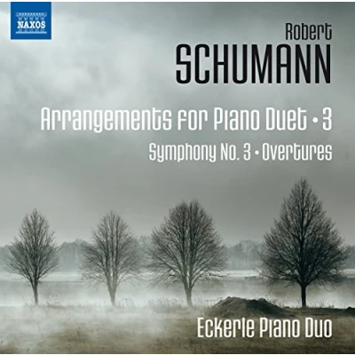 Afbeelding van Eckerle Piano Duo Arrangements For Duet Vol. 3 (CD)