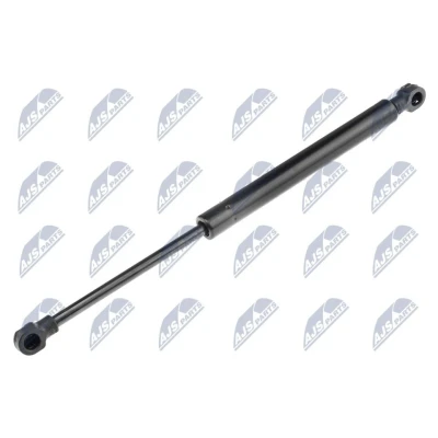 Afbeelding van NTY AE VV 017 Gasveer achterklep 360 320