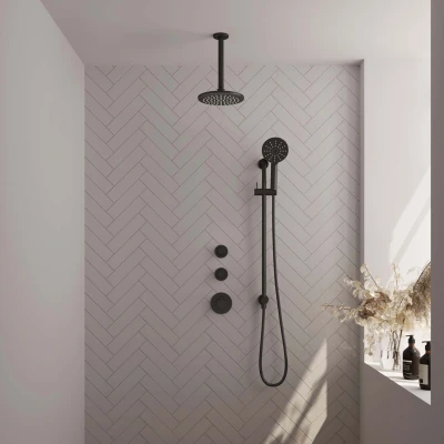 Afbeelding van Brauer Carving 20cm Plafondbuis 3 Standen handdouche Met glijstang Mat zwart