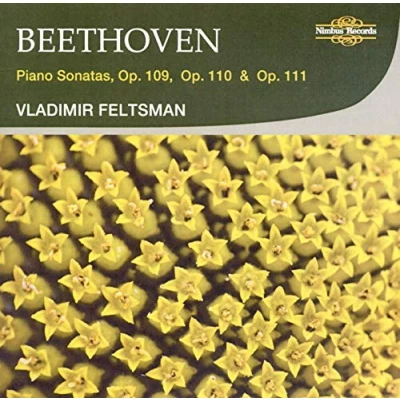 Afbeelding van Vladimir Feltsman Beethoven: Piano Sonatas Op.109, Op (CD)