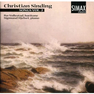 Afbeelding van Sinding Songs Vol.2