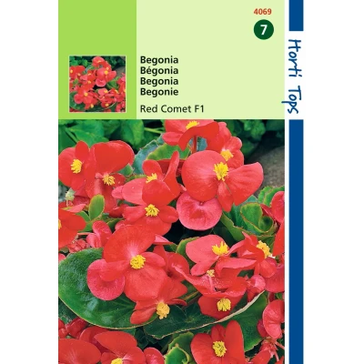 Afbeelding van Begonia Semp. F1 Hybride Rode Komeet Hortitops