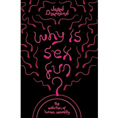 Afbeelding van Why Is Sex Fun