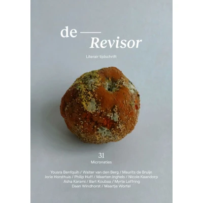 Afbeelding van Revisor 31