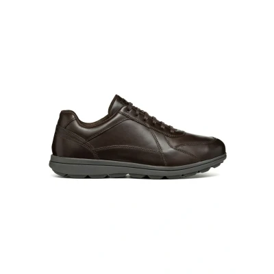 Afbeelding van Geox U Spherica Sneakers laag, Heren, Maat: 42.5, Coffee Leer