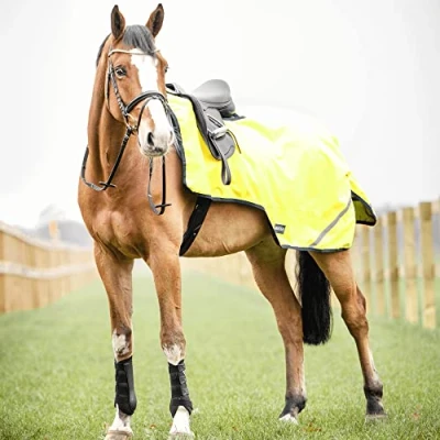 Image de Busse Exercise Blanket Shine 100