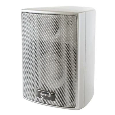 Image de Dynavox AS 301 Enceintes satellites 60 Watts Paire Argent (Import Allemagne)