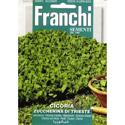 Afbeelding van Cichorei, Cicoria Di Trieste 40/18 Franchi