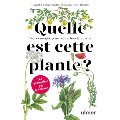 Image de Quelle est cette plante ?