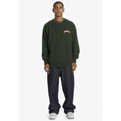 Afbeelding van DC Shoes Sweater, Heren, Maat: Small, Gzh mountain view