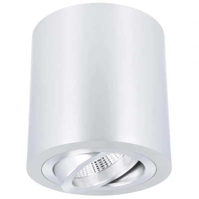 Afbeelding van Yphix Roma Opbouwspot Rond 1 Lichtpunt Kantelbaar 90x95mm Aluminium LEDdirect.nl