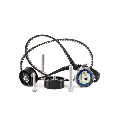 Afbeelding van Ina Distributieriem kit 530 0441 10
