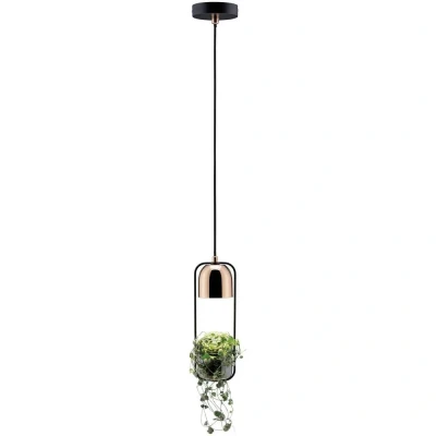Afbeelding van Paulmann Fanja 79749 Hanglamp GU10 20 W Koper, Zwart