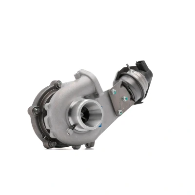 Afbeelding van Turbocharger NISSENS 93416