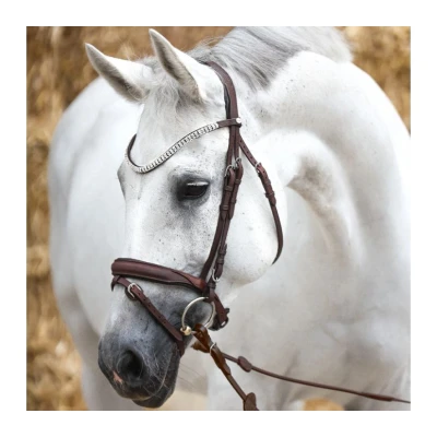 Image de Kavalkade Bridle Everness