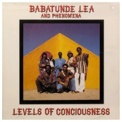 Afbeelding van Levels of Consciousness
