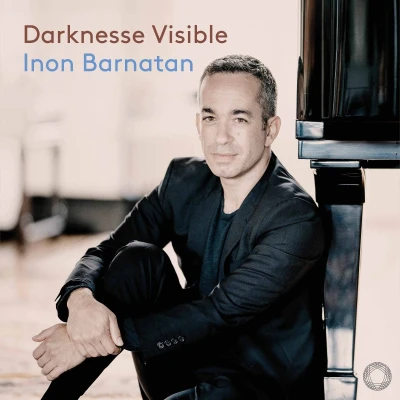 Afbeelding van DARKNESSE VISIBLE