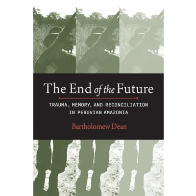 Afbeelding van the End of Future