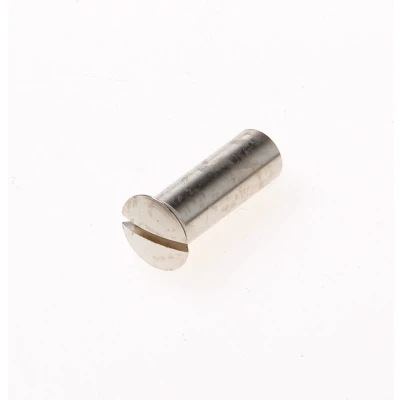 Afbeelding van Ami Huls messing vernikkeld M6 x 21mm