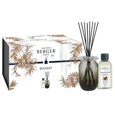 Afbeelding van Evanescence Geurstokjes Maison Berger Gris