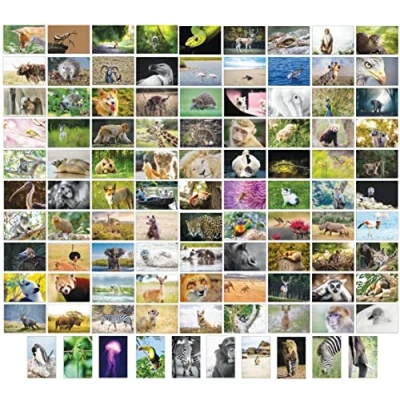 Afbeelding van Bear and Bee ansichtkaarten met 100 verschillende motieven, dierenansichtkaarten, stuks (100 fotokaarten)
