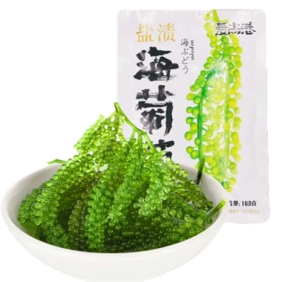 Image de Raisins de mer écologiques Hainan « China South Sea Emerald » Pops frais et croustillants faibles en calories riches calcium algues fraîches domestiques 100 g