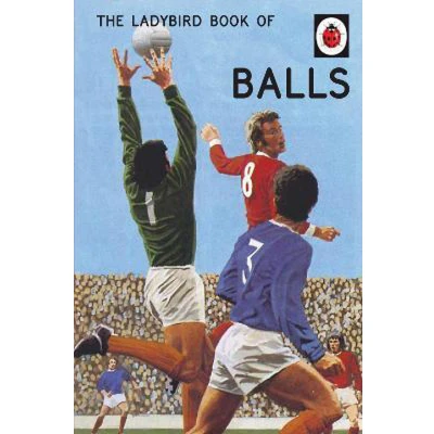 Afbeelding van The Ladybird Book of Balls