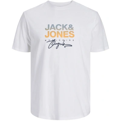 Afbeelding van JACK &amp; JONES Chemise Canggu à col rond pour homme (grande taille) XXL
