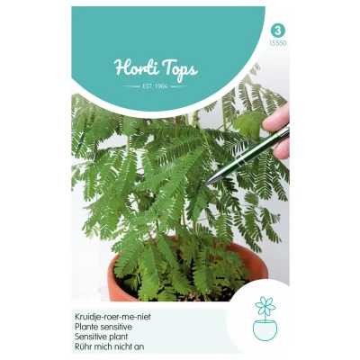 Afbeelding van Mimosa Pudica Kruidje Roer Me Niet Hortitops
