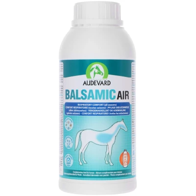 Afbeelding van Audevard Balsamic Air 500 ml