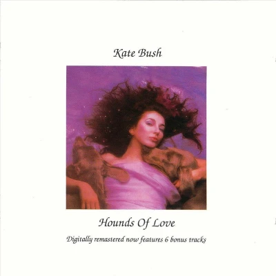 Afbeelding van Hounds Of Love