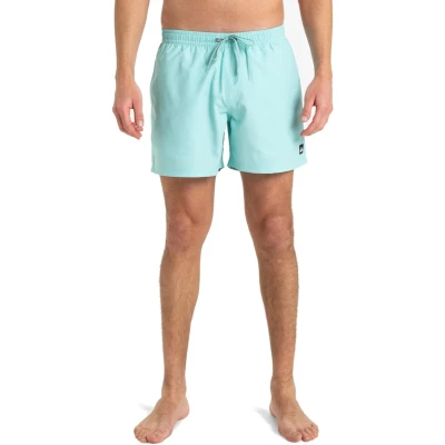 Afbeelding van Quiksilver Everyday Solid Volley Zwemshorts, Heren, Maat: Large, Bgh