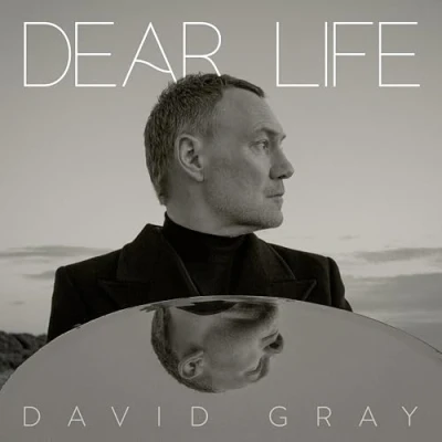 Afbeelding van David Gray Dear Life (2 LP) (Coloured Vinyl)