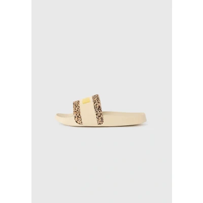 Afbeelding van Leadcat 2.0 Animal Flair badslippers voor Dames, Goud, Maat 40,5 PUMA