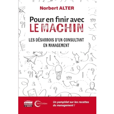 Afbeelding van POUR EN FINIR AVEC LE MACHIN LES DESARROIS D&#039;UN CONSULTANT