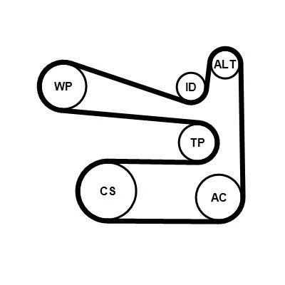 Afbeelding van CONTITECH 6PK1693WP1 Waterpomp + tandriemenset AUDI: A3 Sportback, Hatchback, VOLKSWAGEN: GOLF 6, SKODA: Octavia II Hatchback