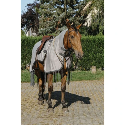 Afbeelding van Riding World Vliegenuitrijdeken Mesh Grijs 155/206