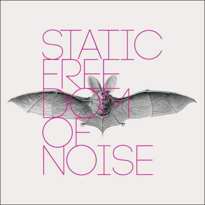 Afbeelding van Static Freedom Of Noise (CD)