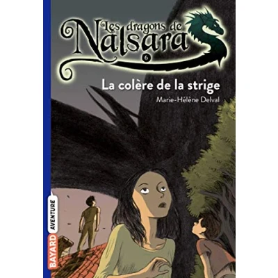 Afbeelding van Les Dragons De Nalsara