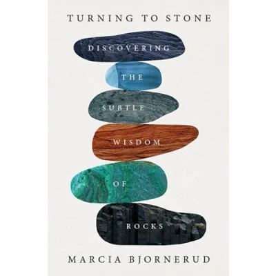 Afbeelding van Turning to Stone