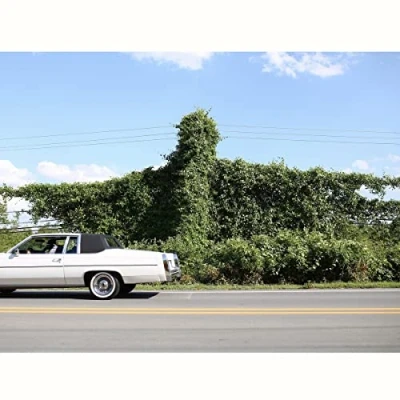 Afbeelding van Cory Branan When I Go Ghost (LP)