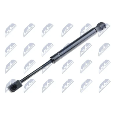 Afbeelding van NTY AE FR 043 Gasveer achterklep 630N 255mm