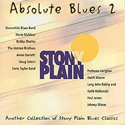 Afbeelding van Various Artists Absolute Blues Volume 2 (CD)