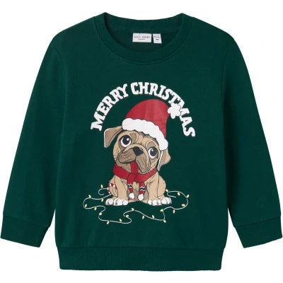 Afbeelding van NAME IT NMMVISMAS LS NREG SWEAT BRU Jongens Trui Maat 92