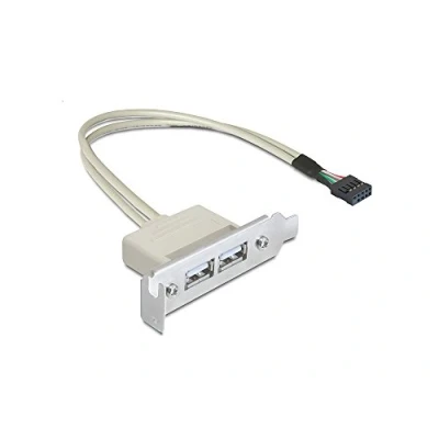Afbeelding van DeLOCK 0.5m Slotblech USB 2.0