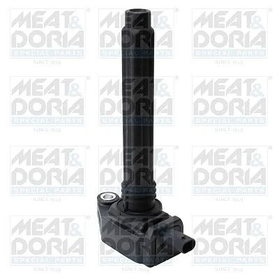 Afbeelding van MEAT &amp; DORIA 10886 bobine 2 polig 12V 1 Bougieschacht