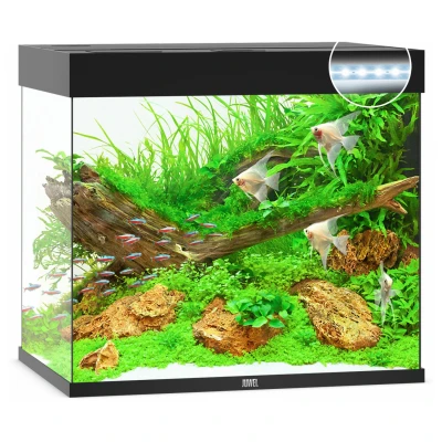 Afbeelding van Juwel aquarium Lido 200 LED met filter zwart Gebr. de Boon