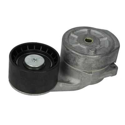 Afbeelding van DAYCO APV2736 Riemspanner