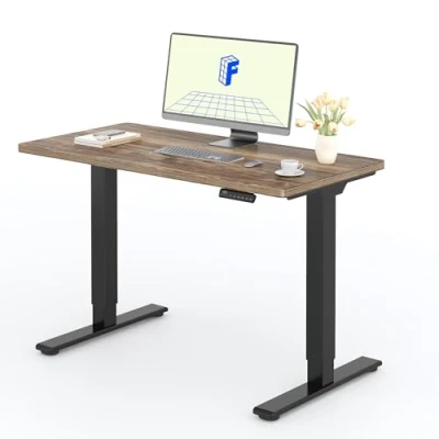 Afbeelding van FLEXISPOT 2 motoren, staand, 120 x 60 cm, eendelig, elektrisch stabureau met paneel geheugenfuncties, in hoogte verstelbaar bureau, belasting 100 kg, zwart + bruin